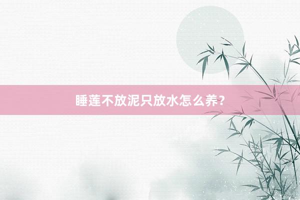 睡莲不放泥只放水怎么养？